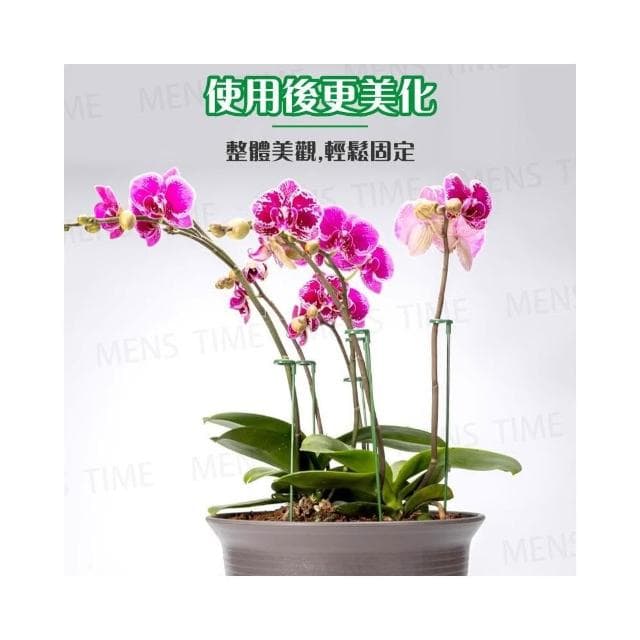 台灣現貨 ️10入 開立發票 植物支撐桿 植物支架 園藝工具 爬藤支架 植物支撐 植物支撐架 園藝支架 盆栽支架