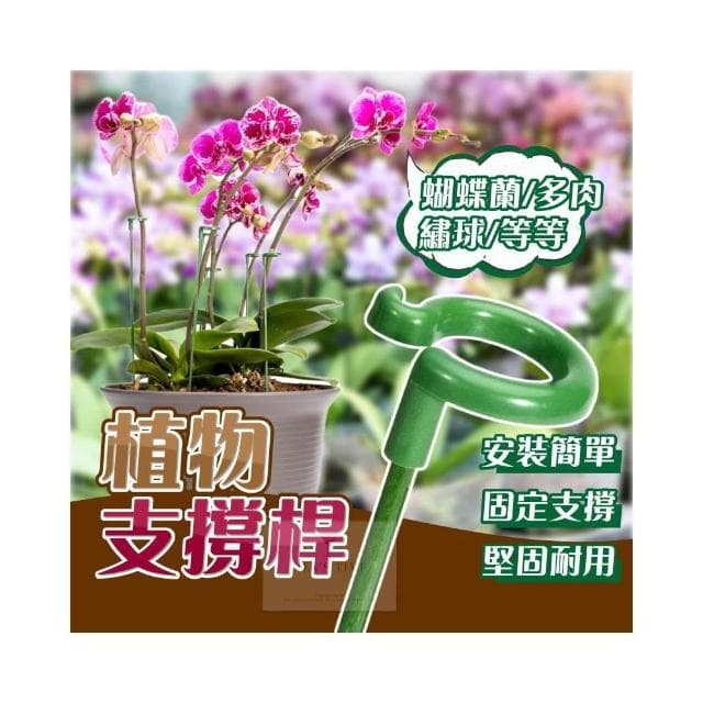 台灣現貨 ️10入 開立發票 植物支撐桿 植物支架 園藝工具 爬藤支架 植物支撐 植物支撐架 園藝支架 盆栽支架