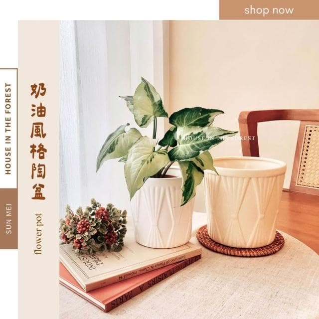 陶盆 奶油風格陶盆 簡約素燒花器 觀葉植物專用 辦公室植栽首選花盆