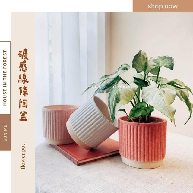 陶盆 礦感線條陶盆 花盆 花器 陶盆 花架 花瓶 觀葉植物 多肉植物 植栽 植物 室內植栽 辦公室植栽