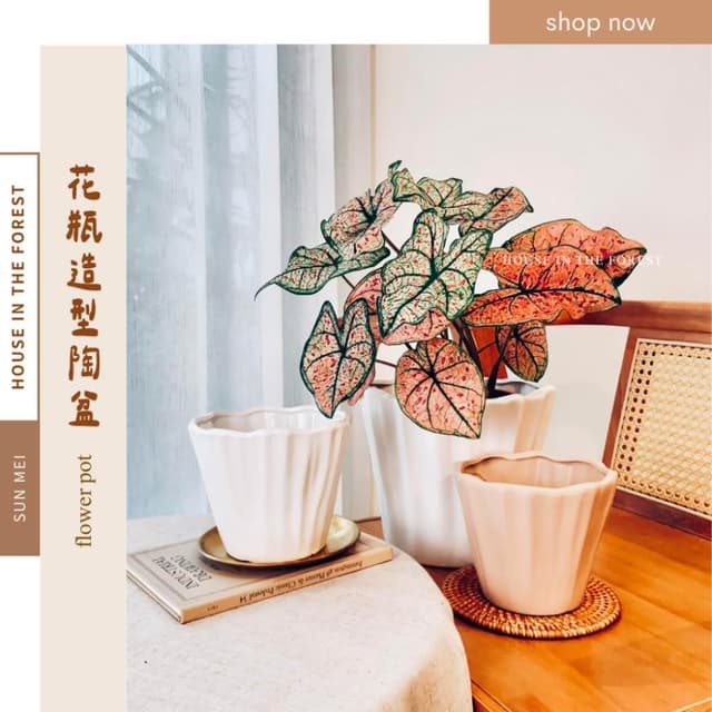 陶盆 立體花瓣花盆 透氣陶土材質 觀葉植物推薦 防積水花形盆 花器 浪漫植栽容器