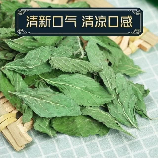 新貨薄荷葉新鮮食用迷迭香檸檬草真材實料罐裝