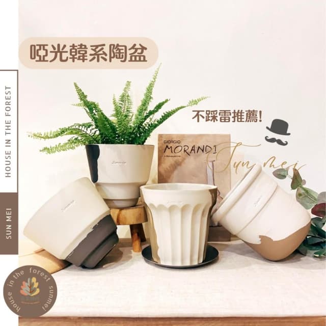 陶盆 啞光韓系陶盆 花盆 胖胖杯花盆 奶蓋杯花盆 花器 花架 觀葉植物 水苔球盆器 植栽 小品植栽