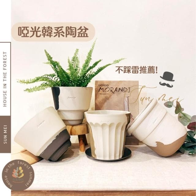 陶盆 啞光韓系陶盆 花盆 胖胖杯花盆 奶蓋杯花盆 花器 花架 觀葉植物 水苔球盆器 植栽 小品植栽