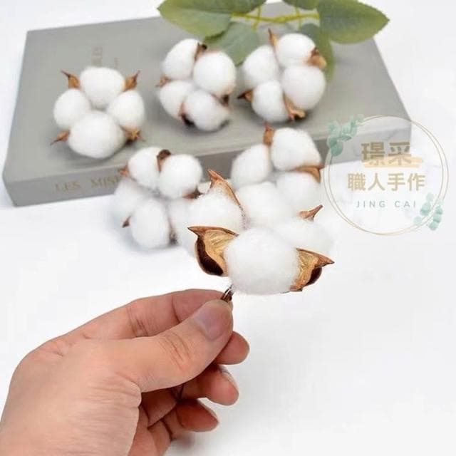 【璟采職人】乾燥棉花 棉花 棉花頭 永生花 乾燥花材 果實 聖誕裝飾 聖誕配件 聖誕節 聖誕樹 聖誕佈置 藤圈配件 禮物