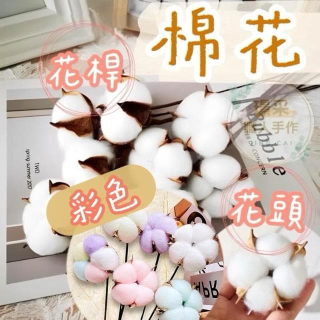 【璟采職人】乾燥棉花 棉花 棉花頭 永生花 乾燥花材 果實 聖誕裝飾 聖誕配件 聖誕節 聖誕樹 聖誕佈置 藤圈配件 禮物