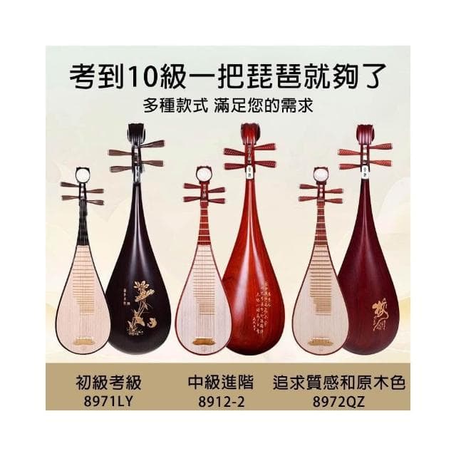 琵琶 星海 專業演奏級+下單即送：豪華大禮包 琵琶樂器 初學者  成人 民族樂器 考級琵琶 弦樂器 興趣培養 禮物