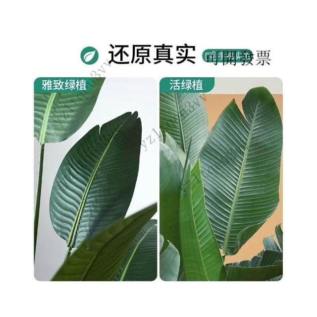 含發票 仿真綠植 高端假植物天堂鳥 仿真花 輕奢室內盆栽 裝飾樹 擺件客廳仿生 仿真植物 假植物 假樹 盆栽