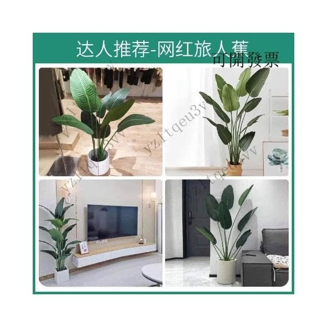 免運 含發票 仿真綠植 高端假植物天堂鳥 仿真花 輕奢室內盆栽 裝飾樹 擺件客廳仿生 仿真植物 假植物 假樹 盆栽