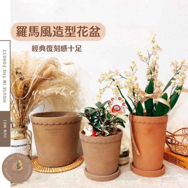 水泥盆 羅馬造型盆 盆器 花器 花瓶 器皿 觀葉 植物 植栽 過年花禮 蘭花 居家裝飾 植物 盆栽