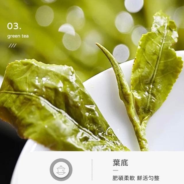 宏泉茗茶 鮮翠綠茶｜一盒10入 x 多盒優惠｜南投名間茶區｜清新順口 x 茶香鮮明｜三角立體茶包
