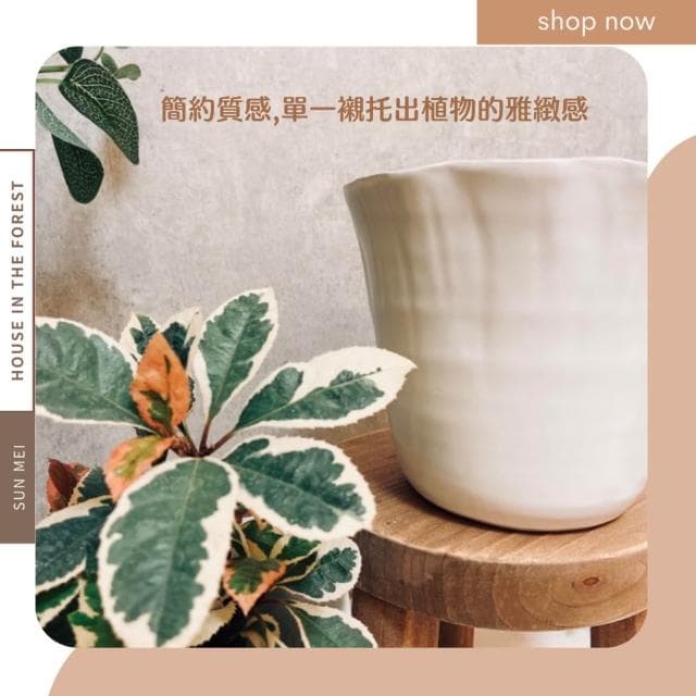 陶盆 花朵白陶盆 陶瓷盆 盆器 花盆 花器 日式風 觀葉植物 多肉植物 虎尾蘭 辦公室植栽花盆