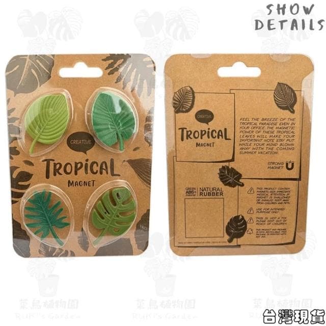 沐晨植物園｜觀葉植物冰箱貼 冰箱貼 質感 植物冰箱貼 植物周邊商品 植物配件 送禮 龜背芋冰箱貼 療癒 交換禮物