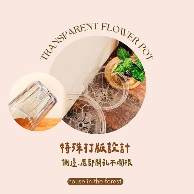 透氣盆 硬式植物控根盆  透氣盆 盆栽 換盆神器  穩根花盆  透明/茶色PVC
