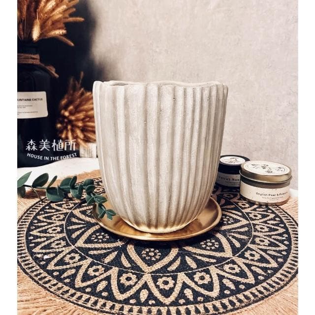 水泥盆 水泥波紋直線盆 水泥造型盆 觀葉植物 盆器 盆栽