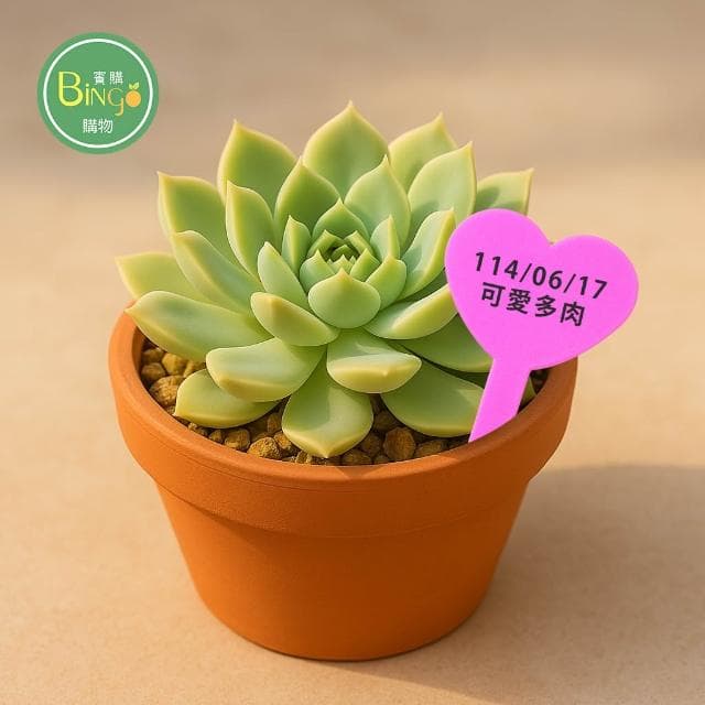 賓購 100入加厚盆栽植物標籤 T字植物名牌 多肉植物名牌 植物名牌 花牌 標籤 種苗標籤 花苗標籤 植物辨識標籤