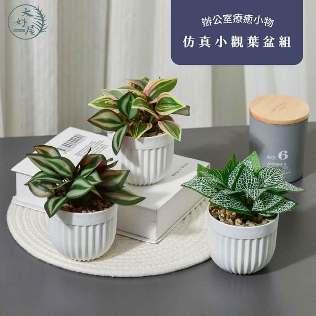 大好屋仿真花 仿真小觀葉盆組 網紋草 白脈椒草 吊竹梅 觀葉植物 小品系列 仿真葉子 人造葉子 拍照道具 佈景