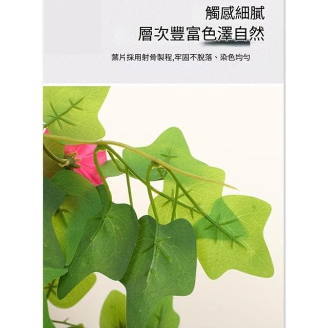 仿真花 仿真牽牛花 紋理清晰 【快速出貨】喇叭花 壁掛垂吊 假綠植 假植物 居家裝飾