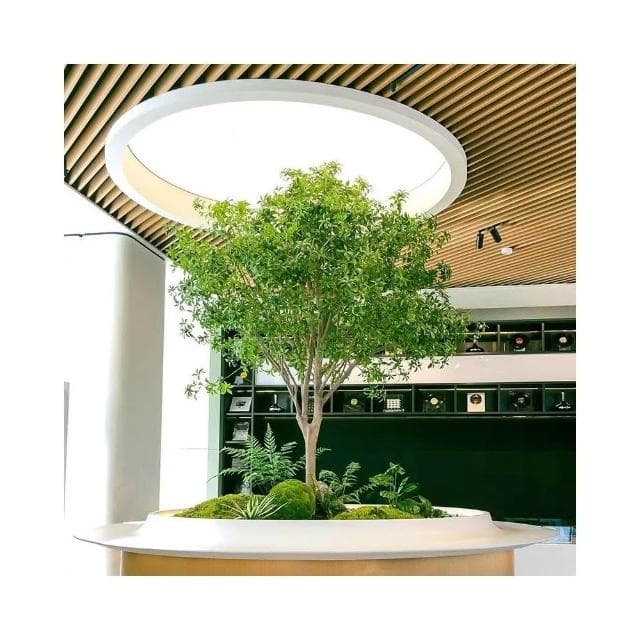 🌿🎈高端馬醉木 仿真植物 櫥窗造景 室內裝飾樹 仿生綠植 大型假樹 簡約景觀