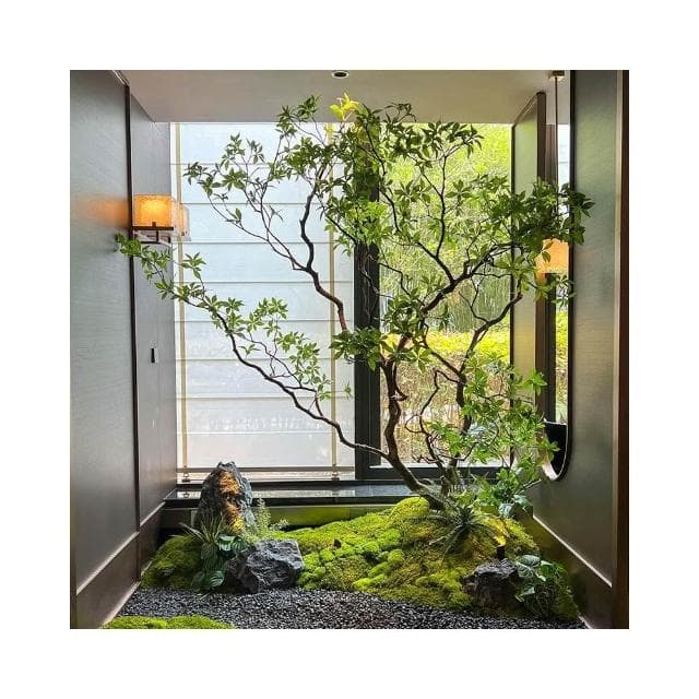 精品馬醉木 綠植造景 櫥窗植物 室內真榕樹 裝飾樹 大型假樹 簡約景觀