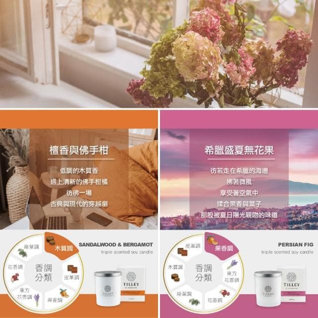 【Tilley 皇家特莉】【Tilley 皇家特莉】澳洲原裝微醺大豆香氛蠟燭240g (共8款可選)