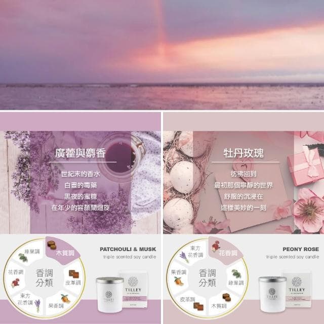 【Tilley 皇家特莉】【Tilley 皇家特莉】澳洲原裝微醺大豆香氛蠟燭240g (共8款可選)