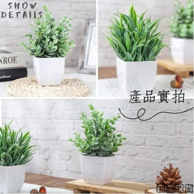  沐晨植物園｜仿真植物 盆栽裝飾 小盆栽假植物 假盆栽 辦公室盆栽 迷你盆栽 仿真盆栽 仿真植物盆栽 居家裝飾 室內盆栽