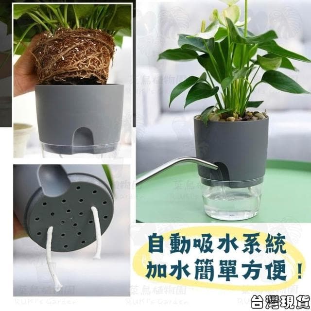 沐晨植物園｜懶人花盆 懶人盆栽 吸水花盆 自吸水花盆  免澆水花盆 懶人花盆 吸水盆栽 室內花盆 自吸水花盆