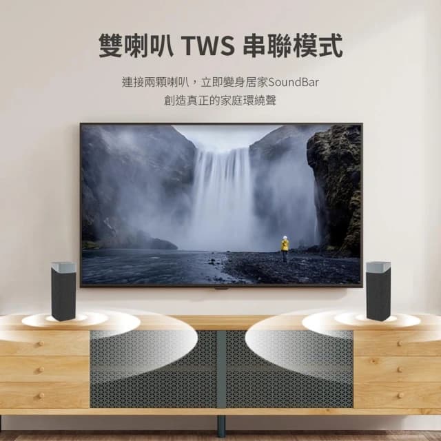 【Philips 飛利浦】藍牙喇叭 免持通話 IPX7防水 藍芽音響 高續航【榮獲紅點設計大獎】TAS5505