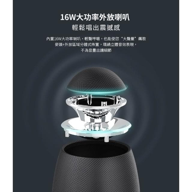 【Philips 飛利浦】唱放一體K歌 無線麥克風 【公司貨】可消原聲 藍芽麥克風 麥克風 麥克風音響 行動KTV DLM9318