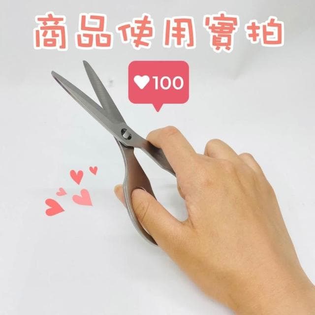 【ABEL 力大牌】台灣現貨  料理剪刀 食物剪刀 全不鏽鋼可拆洗食物剪 ABEL #60070 廚房必備烹飪料理 野餐露營外宿開伙