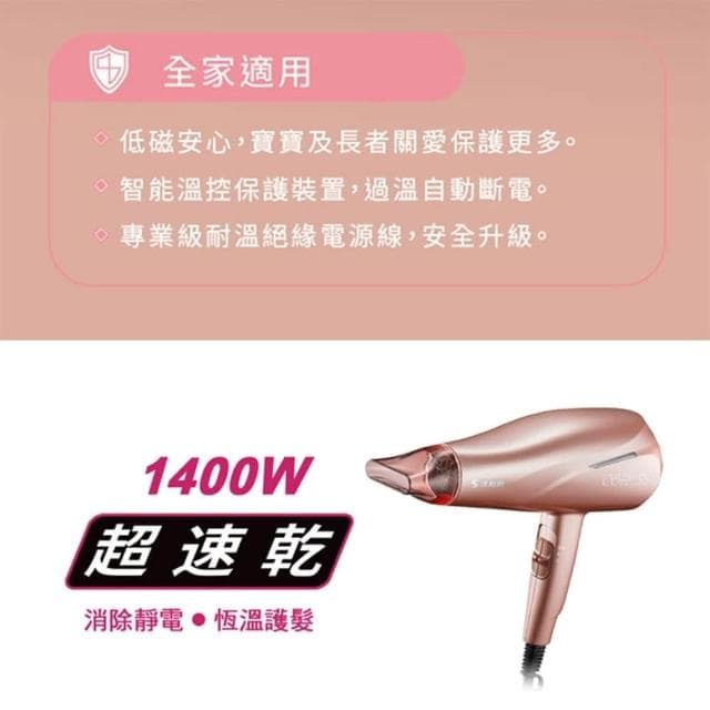 【達新牌】負離子吹風機 吹風機 大風量吹風機 美髮吹風機 沙龍吹風機 專業吹風機 TS-2962 (速達)