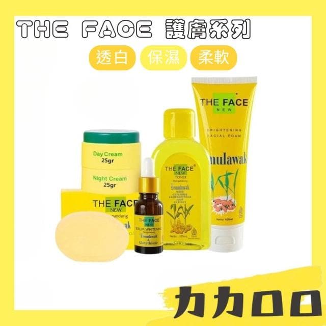 THE FACE 護膚系列 保養品 乳霜 保養 日常使用 臉部保養 肌膚保養 保濕 透亮 洗面乳 日霜 KBT373