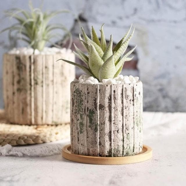 沐晨植物園｜青苔石紋水泥盆 多肉盆 陶瓷花盆 多肉盆栽 花盆 水泥盆 花器