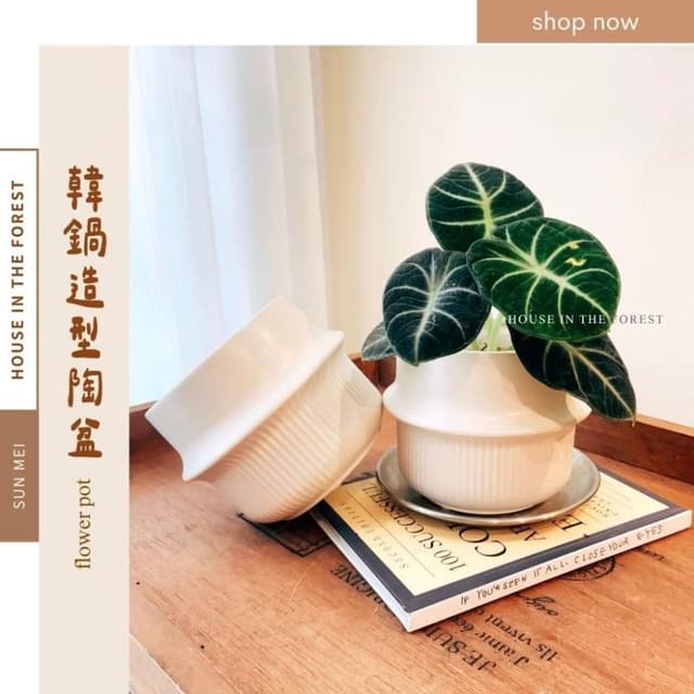 陶盆 韓鍋造型陶盆 花盆 花器 盆器 器皿 陶盆 多肉植物 觀葉植物 居家布置 辦公室植栽 植物