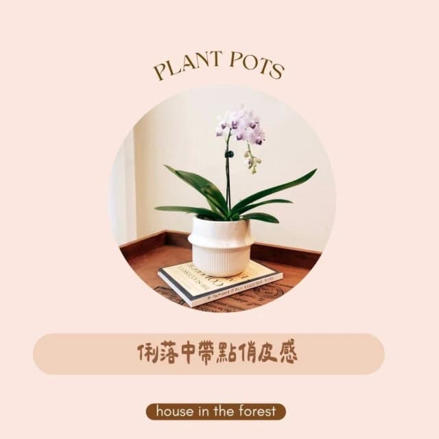 陶盆 韓鍋造型陶盆 花盆 花器 盆器 器皿 陶盆 多肉植物 觀葉植物 居家布置 辦公室植栽 植物