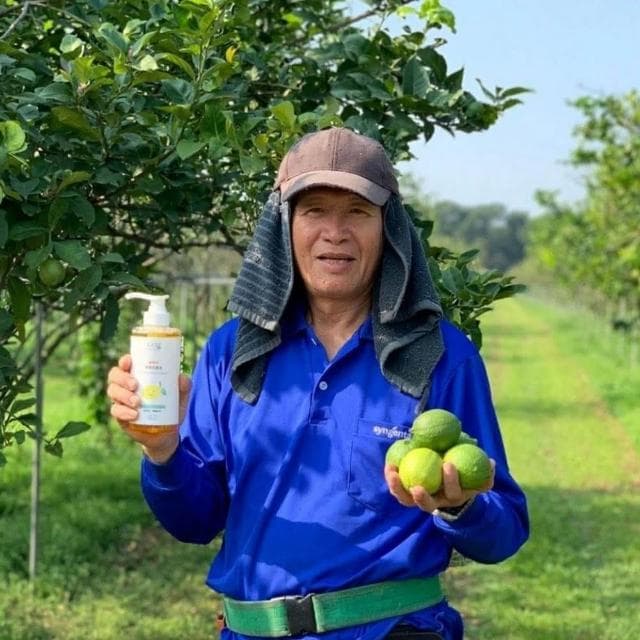 【EASE 簡易淨】檸檬洗潔液 500ml (洗碗精/碗盤清潔/台灣研發 )