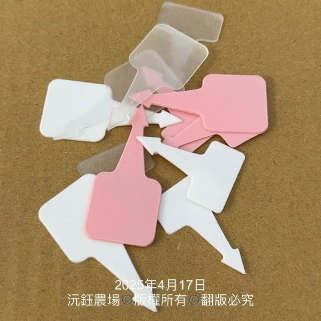 沅鈺農場   資材   小惡魔標籤 箭頭造型標籤 箭頭花牌 PP材質標籤 花牌 植物標籤 名牌 標示 園藝 花盆 盆栽