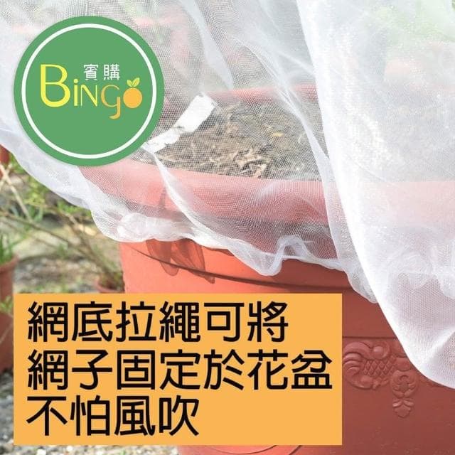 Bingo賓購 尼龍植物防蟲網罩 100x150公分(防鳥罩、防鳥網、無花果樹網、盆栽果樹網)