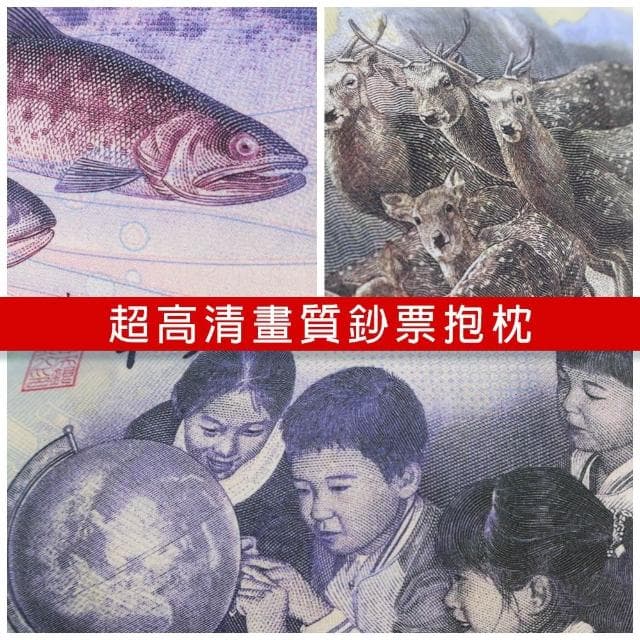 枕頭 抱枕 超高清鈔票枕頭 新台幣枕頭 千元枕頭 千元抱枕 父親節禮物 母親節禮物 交換禮物 生日禮物