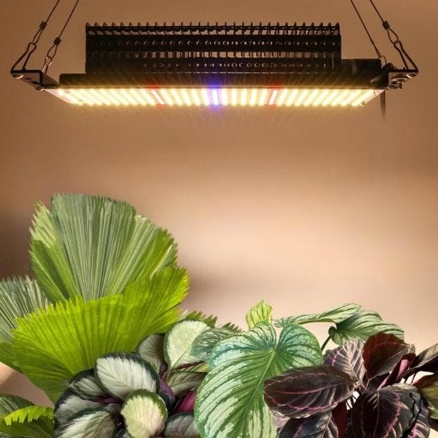 【微糖花植間】50W空中飛船植物燈Spaceship(植物成長燈/植物燈/盆栽燈)