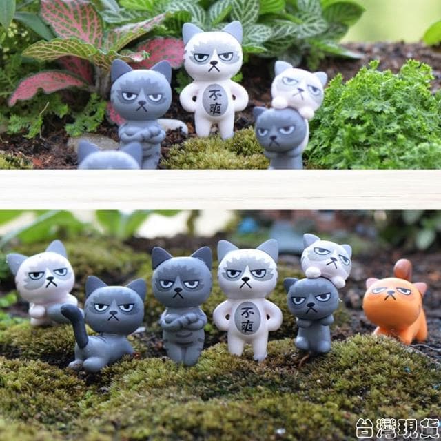 沐晨植物園｜不爽貓 貓咪 臭臉貓 微景觀裝飾 多肉裝飾 生態瓶配件 盆栽裝飾 微景觀配件 公仔 迷你園藝 多肉擺件飾