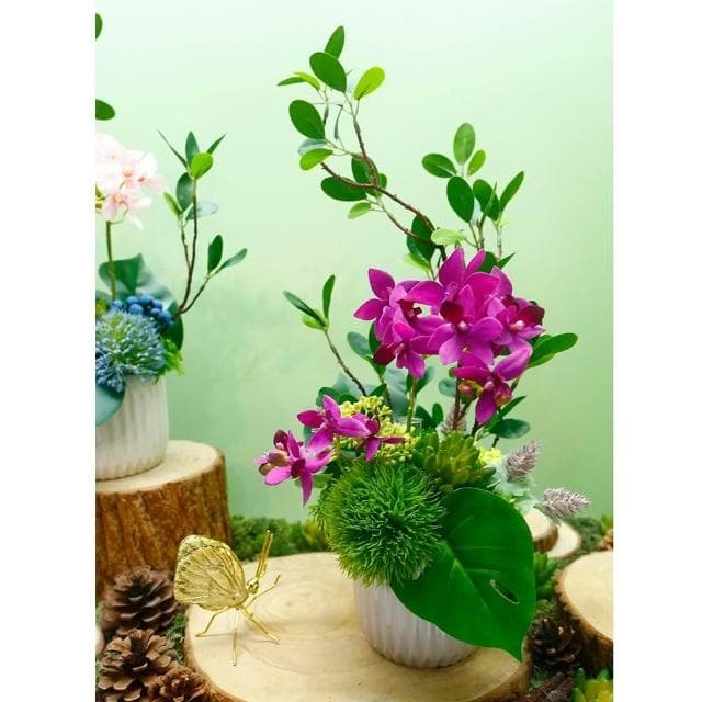 【HUGO DECO 榆果傢飾】雅緻桃紅蝴蝶蘭榕枝香氛花禮(擬真植物/人造盆栽/綠化/佈置/禮物)