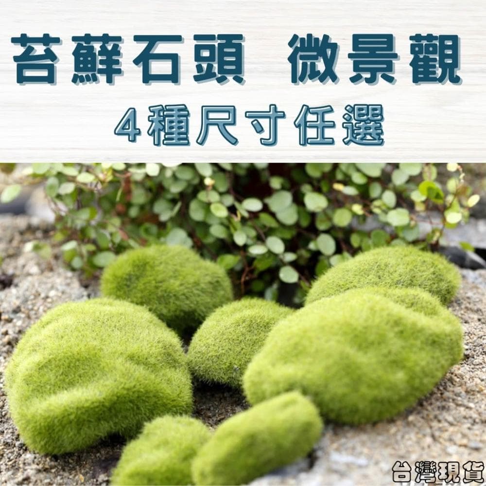 沐晨植物園｜仿真青苔石 仿真苔蘚石頭 仿真石 多肉裝飾 生態瓶配件 盆栽裝飾 微景觀配件 公仔 迷你園藝 微景觀擺件