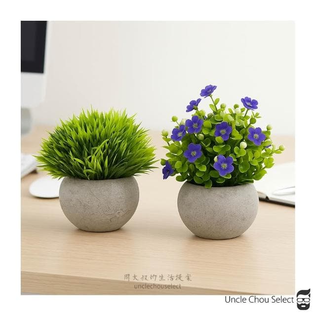 [周大叔 台灣現貨] 仿真植物 桌上盆栽 小盆栽 假植物 辦公室盆栽 人造植物 假盆栽