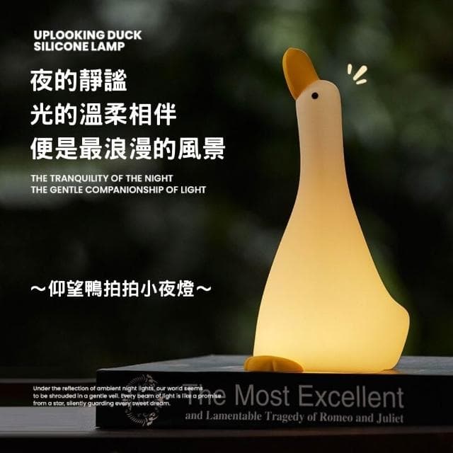 仰望鴨夜燈 拍拍燈 小夜燈 小鴨夜燈 可愛小夜燈 造型夜燈 led小夜燈 usb夜燈 交換禮物 聖誕禮物