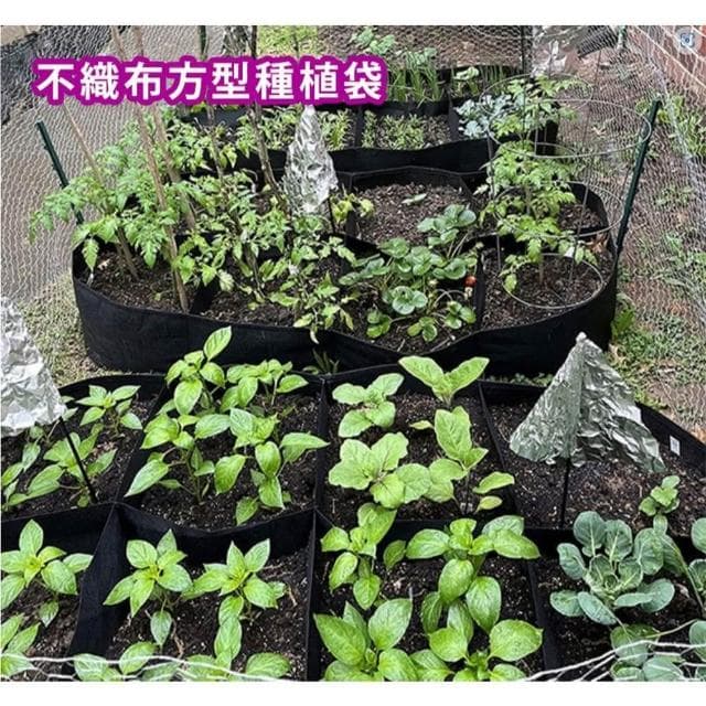 Bingo賓購 方型種植袋 不織布移植袋 8格方形(移植袋 種植袋育苗袋 植物袋 植栽袋 植樹袋 美植袋 移植袋 種菜)