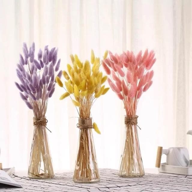 兔尾草 花束 乾燥花 永生花 乾燥花花束 拍照道具背景 店內裝飾 生日禮物 情人節禮物 居家佈置