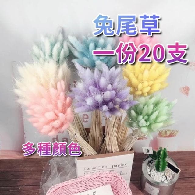 兔尾草 花束 乾燥花 永生花 乾燥花花束 拍照道具背景 店內裝飾 生日禮物 情人節禮物 居家佈置
