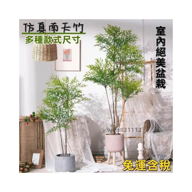 北歐ins風仿真南天竹 植物盆栽 仿生綠植 室內客廳擺件 落地假樹 裝飾擺件 養眼盆栽 綠植物 大型假盆栽